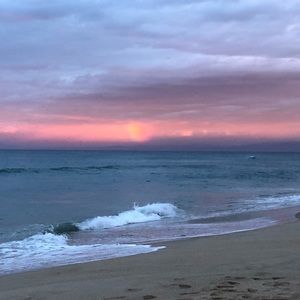 Meet your Posher, Phoebe